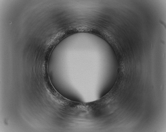 X0000099450690200805231742