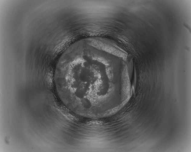 X0000099450691200805231742