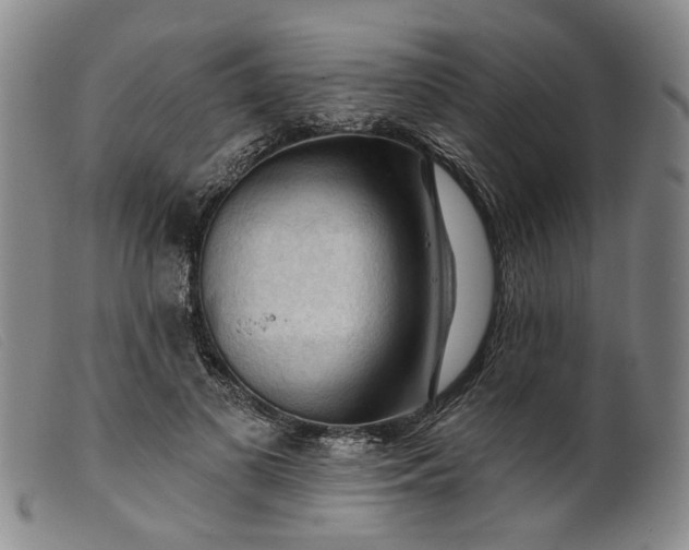 X0000099450693200805231742