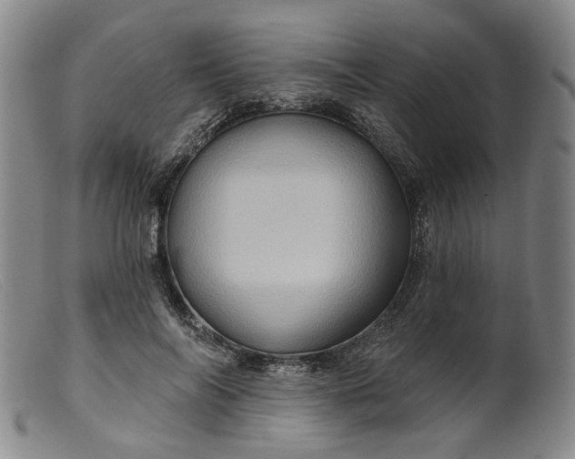 X0000099450694200805231742