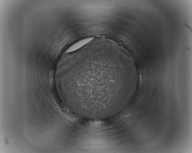 X0000099450695200805231742