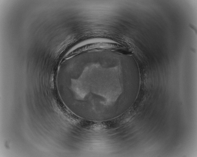 X0000099450696200805231742