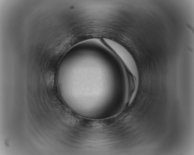 X0000099450697200805231742