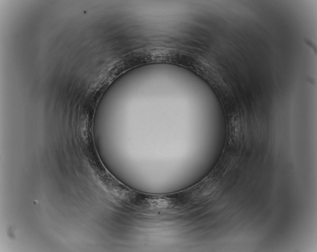 X0000099450698200805231742