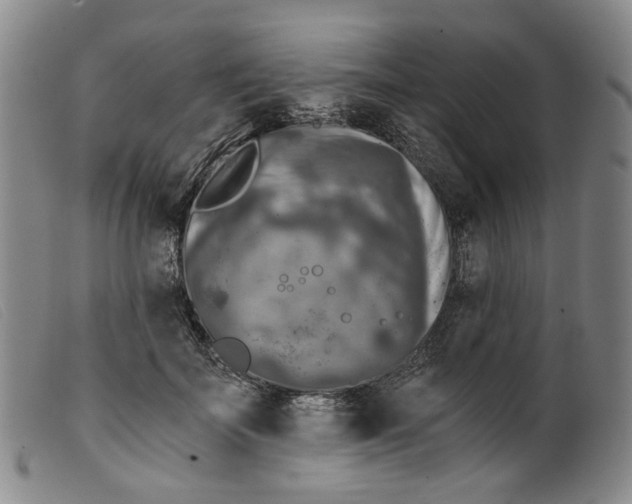 X0000099450699200805231742