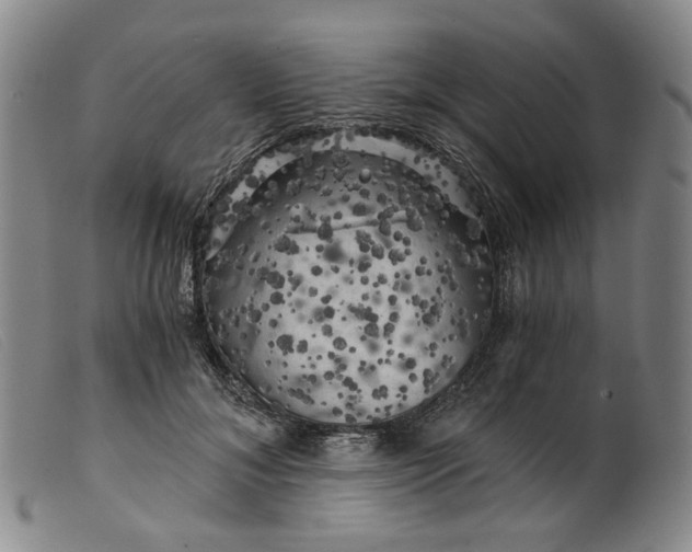 X0000099450700200805231742