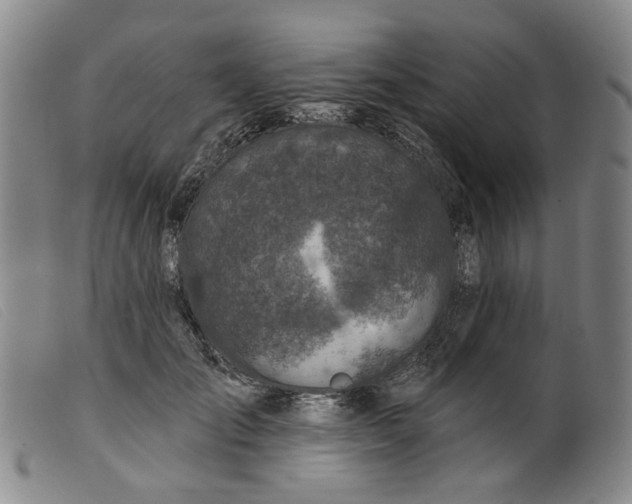 X0000099450701200805231742