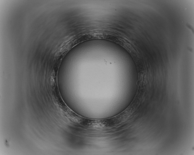 X0000099450702200805231742