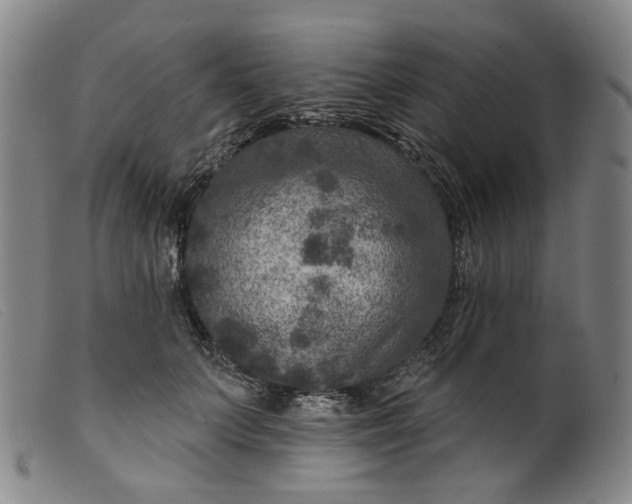 X0000099450703200805231742