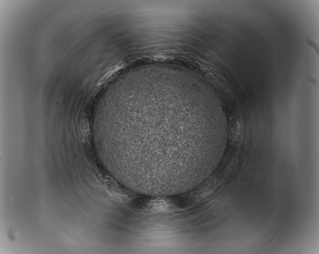 X0000099450704200805231741