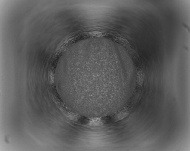 X0000099450705200805231741