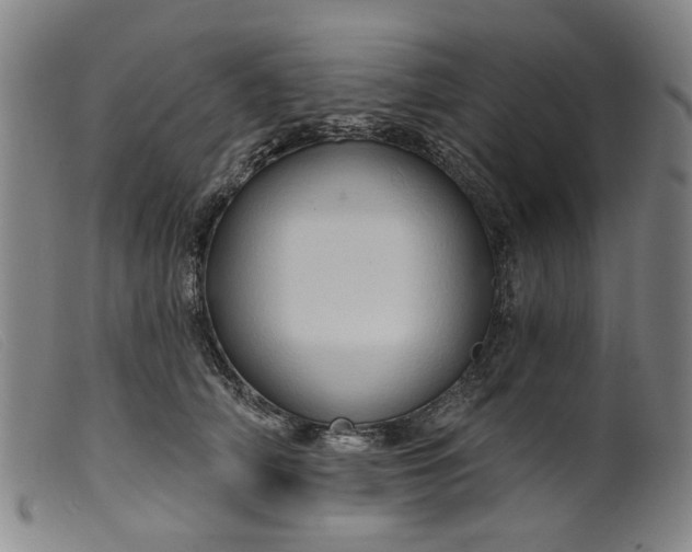 X0000099450706200805231741