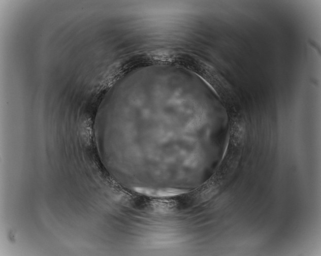 X0000099450707200805231741