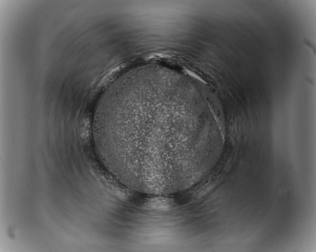 X0000099450708200805231741