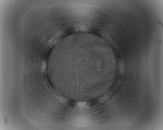 X0000099450709200805231741