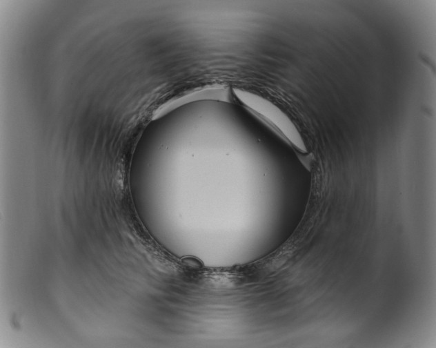 X0000099450710200805231741