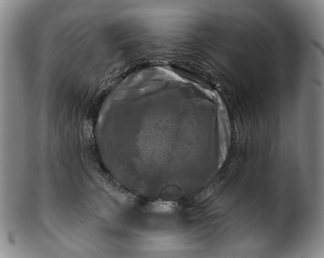 X0000099450711200805231741