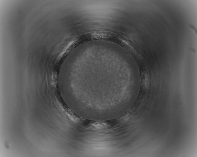 X0000099450712200805231741