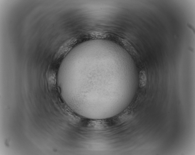 X0000099450713200805231741