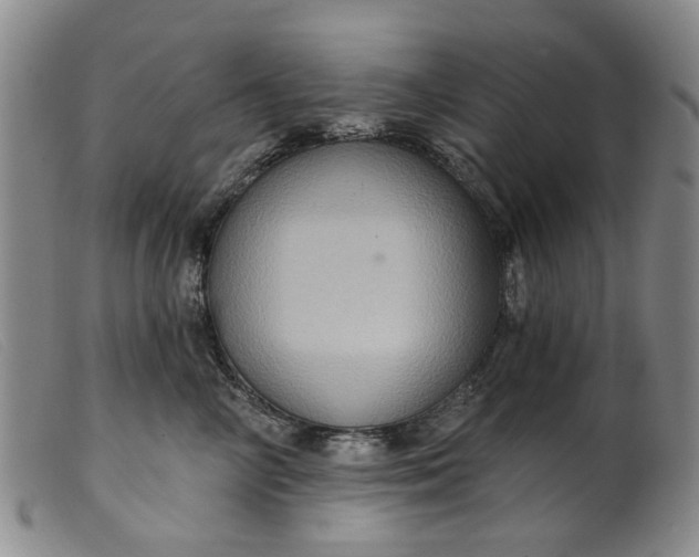 X0000099450714200805231741