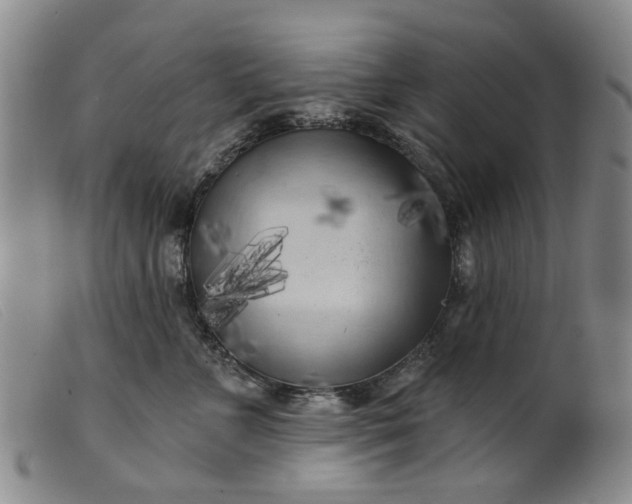 X0000099450715200805231741