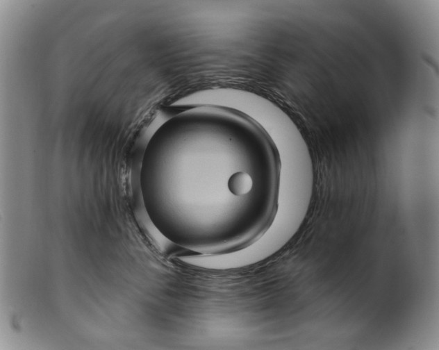 X0000099450716200805231741