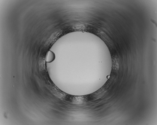 X0000099450717200805231741