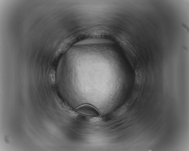 X0000099450718200805231741