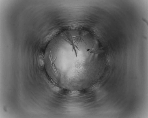 X0000099450719200805231741