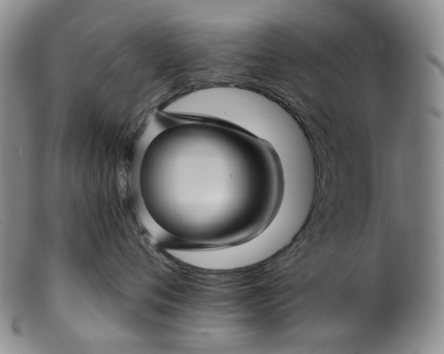 X0000099450720200805231741