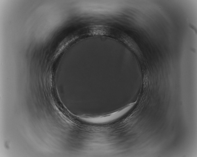 X0000099450722200805231741