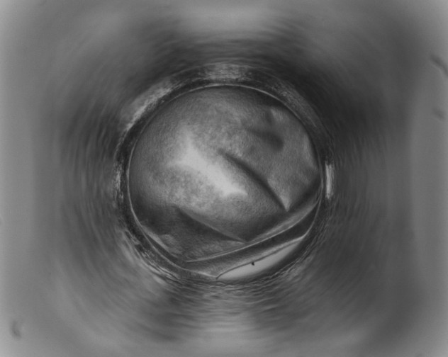 X0000099450723200805231741