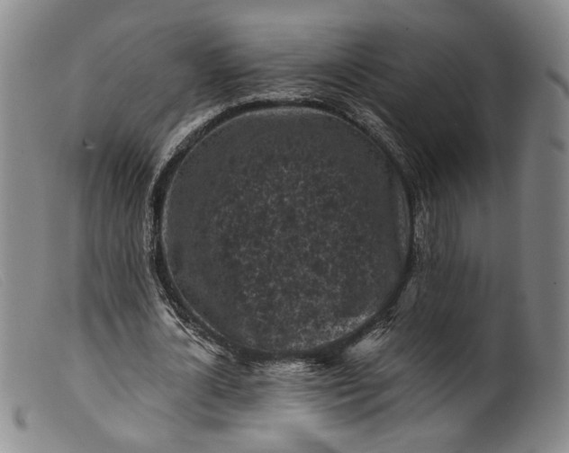 X0000099450724200805231741