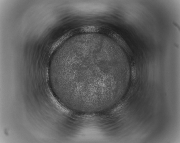 X0000099450725200805231741