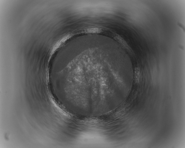 X0000099450726200805231741