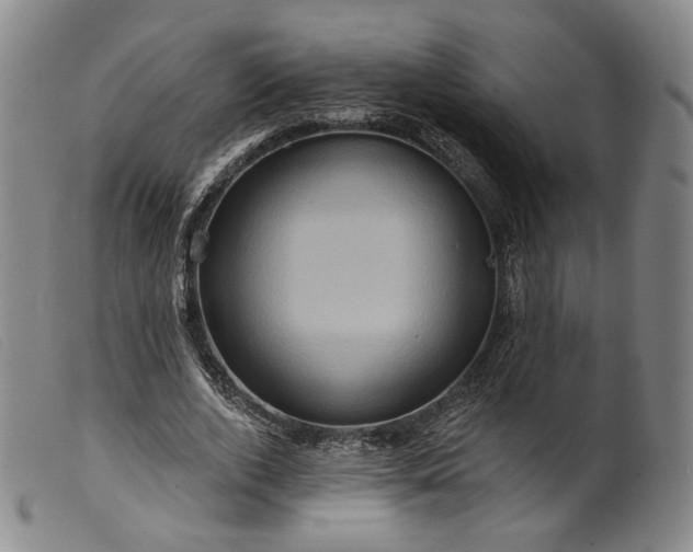 X0000099450728200805231741