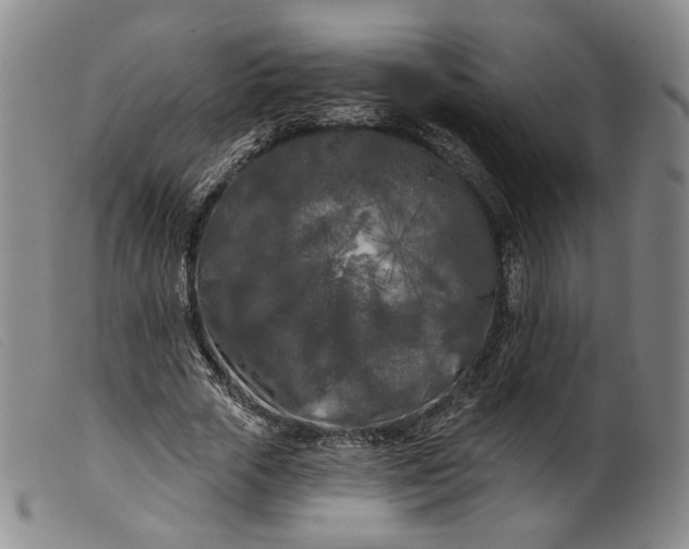 X0000099450729200805231741