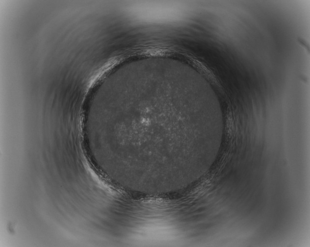 X0000099450730200805231741