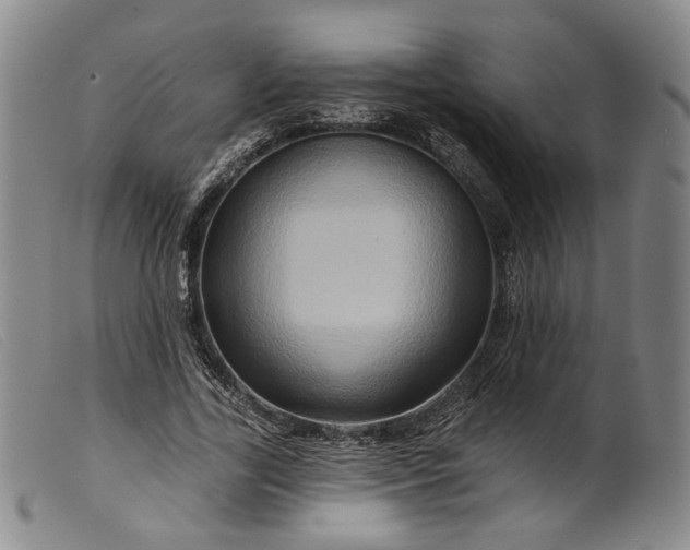 X0000099450731200805231741