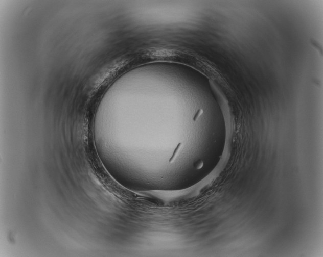 X0000099450732200805231741