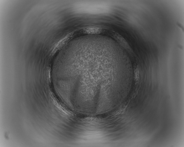 X0000099450733200805231741