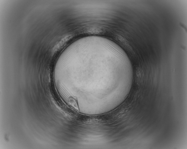 X0000099450734200805231741