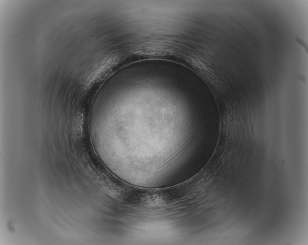 X0000099450735200805231741