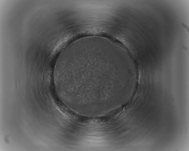 X0000099450736200805231741