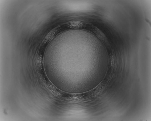 X0000099450737200805231741