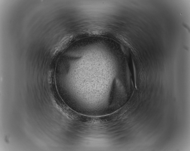 X0000099450738200805231741