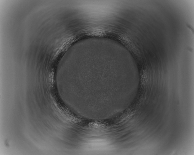 X0000099450739200805231741