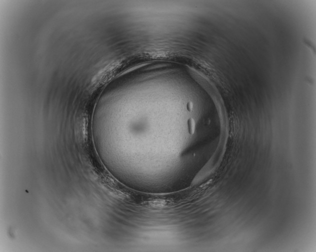 X0000099450740200805231741