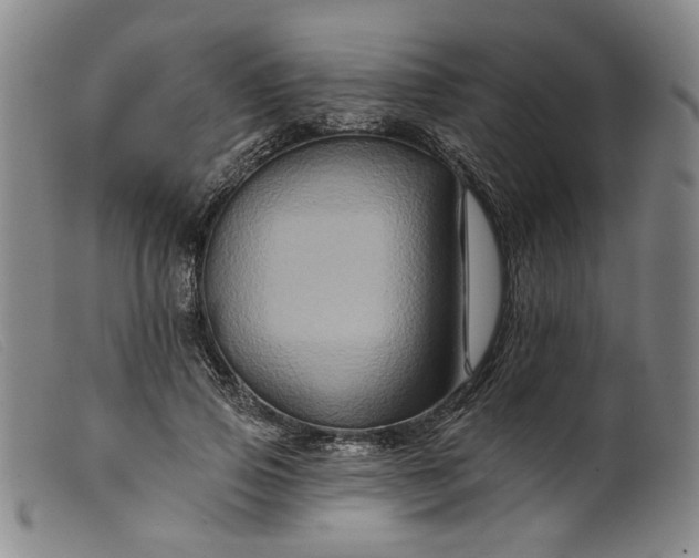 X0000099450741200805231741