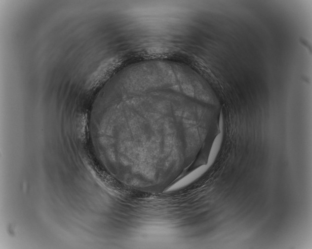 X0000099450742200805231741